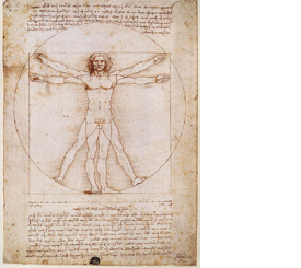 Vitruvian b